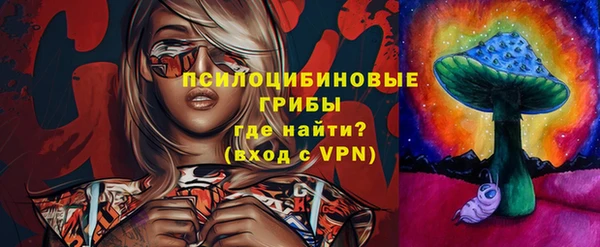 твердый Алзамай